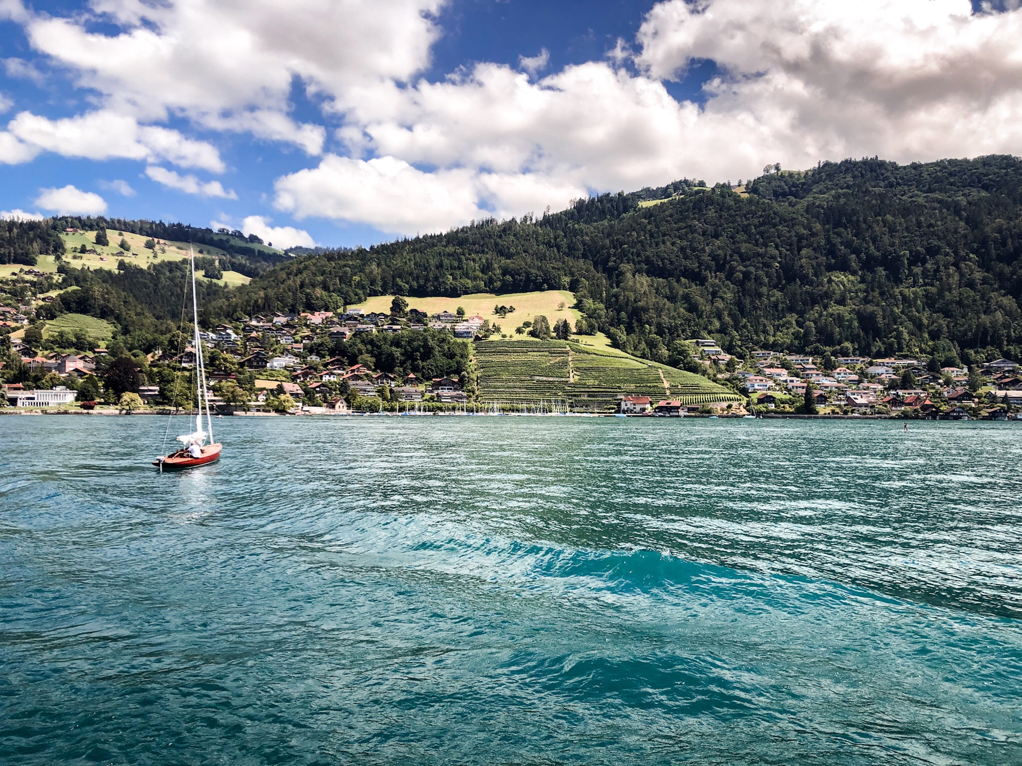 jezioro Thun Szwajcaria